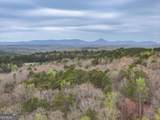405 Wood Trace - Photo 45