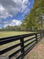 3386 Chandler Road - Photo 87