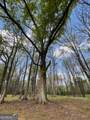 3386 Chandler Road - Photo 93