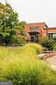532 Winding Rose Drive - Photo 102