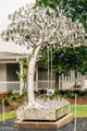 532 Winding Rose Drive - Photo 49