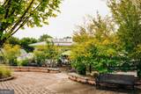 532 Winding Rose Drive - Photo 61