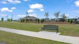 229 Defilippe Drive - Photo 49