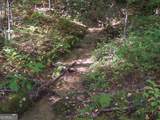 456 Bull Frog Lane - Photo 80