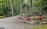 456 Bull Frog Lane - Photo 88