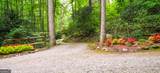 456 Bull Frog Lane - Photo 91