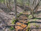 3693 Boardtown Road - Photo 46