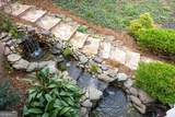 4291 Bristlecone Drive - Photo 54