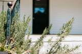 229 Spring Street - Photo 31