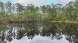 8433 Banks Dairy Road - Photo 18