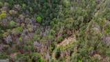 78 ACRES Cross Plains Road - Photo 12
