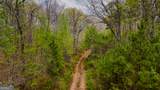78 ACRES Cross Plains Road - Photo 13
