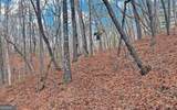 3256 Long Branch Road - Photo 60
