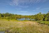 254 Satilla Sands Drive - Photo 5