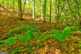 4033 Hidden Hollow Drive - Photo 15