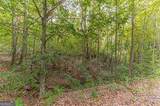 4033 Hidden Hollow Drive - Photo 3