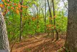 4033 Hidden Hollow Drive - Photo 9