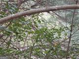 0 East New Hope Road - Photo 16