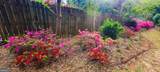 120 Shilling Way - Photo 85