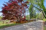 202 Old Screamer Street - Photo 11
