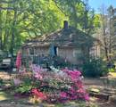203 Morris Street - Photo 1