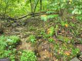 430 Chestnut Ridge - Photo 32