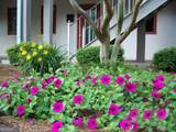 200 Market Place - Photo 2