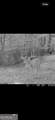 0 Creekview Drive - Photo 14