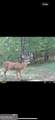 0 Creekview Drive - Photo 15