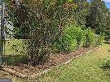 305 Cottonton Road - Photo 16
