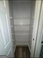 2874 Donamire Lane - Photo 59