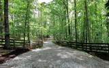 445 Lula Payne Trail - Photo 4