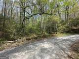 LOT 20 Big Ben Road - Photo 4
