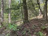 LOT 20 Big Ben Road - Photo 7