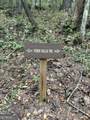 0 Lower Gap Road - Photo 8