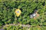 218 Blue Gate Lane - Photo 83