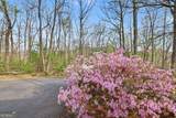 8528 Soapstone Creek Trail - Photo 60