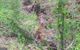 761 Clayton Gooch Road - Photo 30
