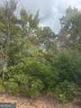 LOT 16 Brown Hawk Drive - Photo 1