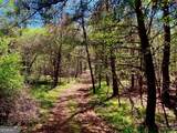 0 Toccoa River Forest - Photo 10