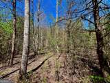 0 Toccoa River Forest - Photo 12