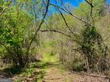 0 Toccoa River Forest - Photo 17