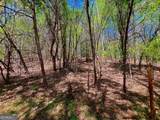 0 Toccoa River Forest - Photo 19