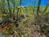 0 Toccoa River Forest - Photo 22