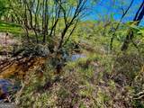0 Toccoa River Forest - Photo 23