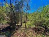 0 Toccoa River Forest - Photo 29