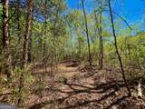 0 Toccoa River Forest - Photo 8
