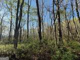 0 Thunderhead - Photo 4