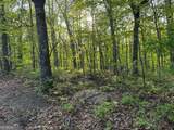 1440 Hanna Drive - Photo 2