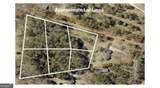 2903 Cammie Wages Road - Photo 3